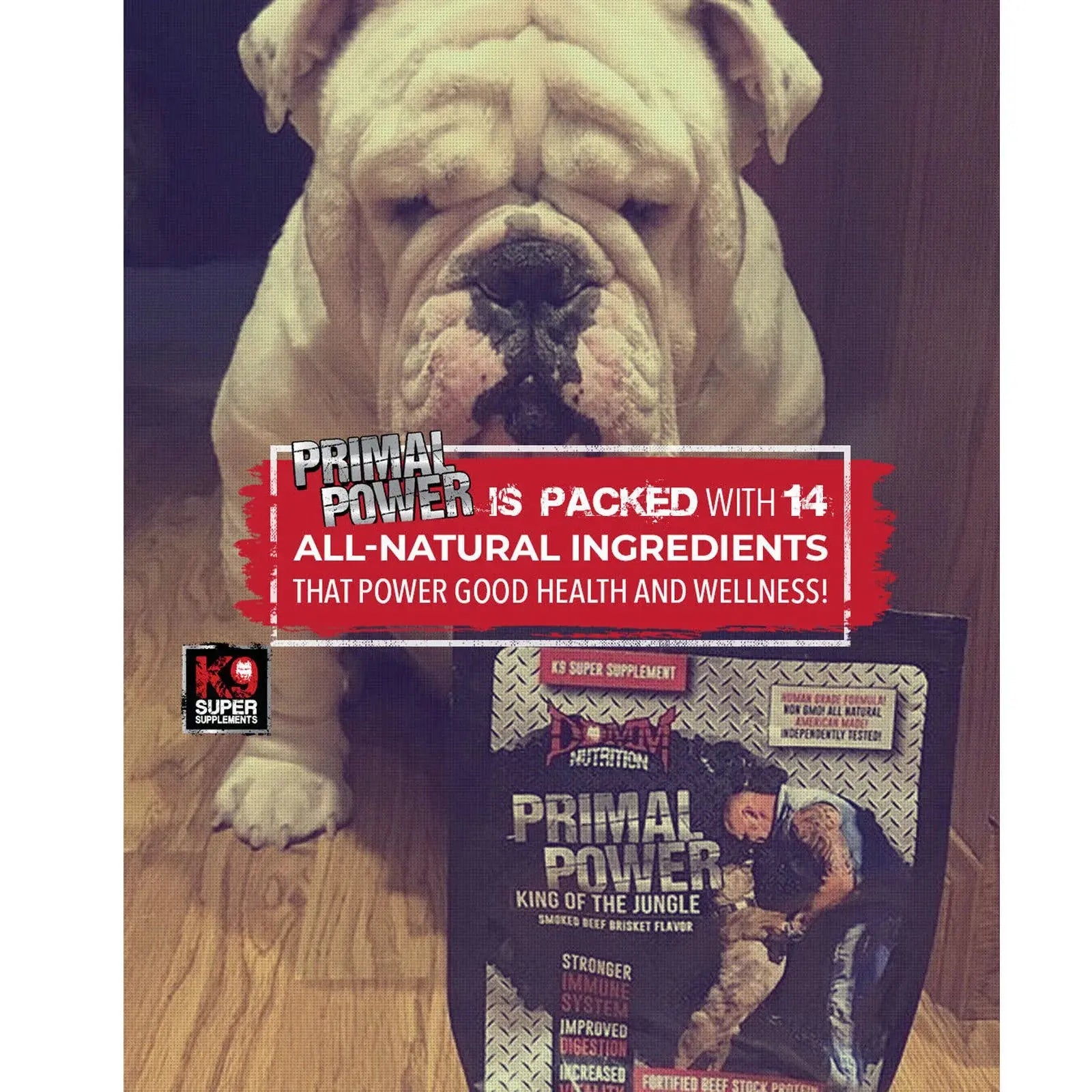 K9 Super Pet Nutrition Primal Power Muscle Growth Vitality, Ultimate Canine Supplement for Dog Sports Working Puppy Adult Senior SlimmingHut